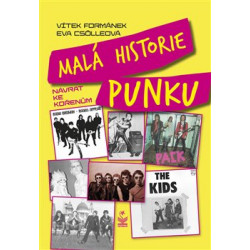 Malá historie punku